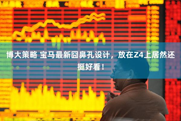 博大策略 宝马最新囧鼻孔设计，放在Z4上居然还挺好看！