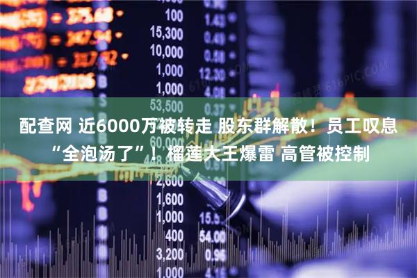配查网 近6000万被转走 股东群解散！员工叹息“全泡汤了”！榴莲大王爆雷 高管被控制