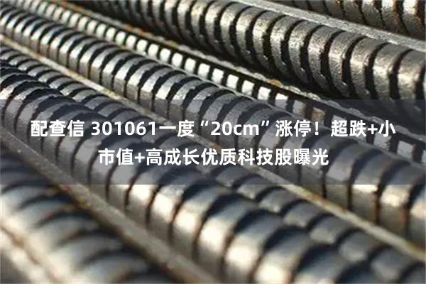 配查信 301061一度“20cm”涨停！超跌+小市值+高成长优质科技股曝光