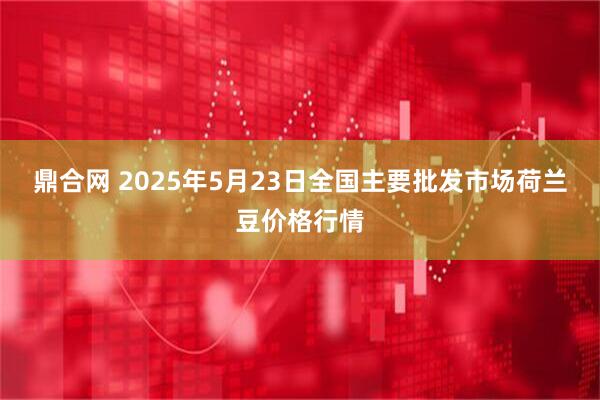 鼎合网 2025年5月23日全国主要批发市场荷兰豆价格行情