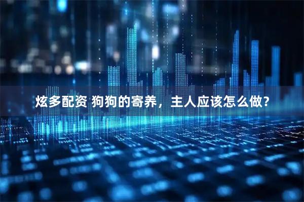 炫多配资 狗狗的寄养，主人应该怎么做？