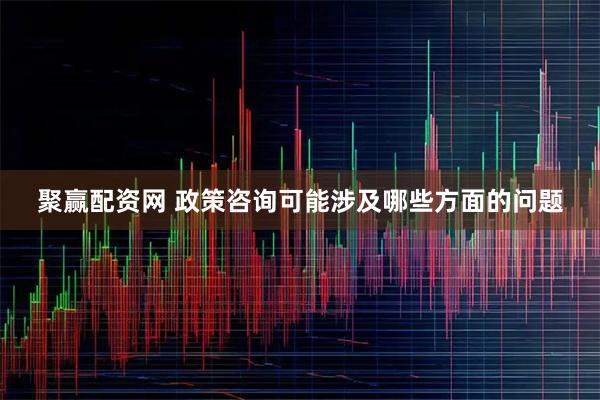 聚赢配资网 政策咨询可能涉及哪些方面的问题