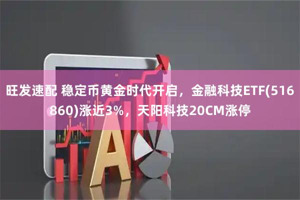 旺发速配 稳定币黄金时代开启，金融科技ETF(516860)涨近3%，天阳科技20CM涨停