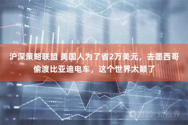 沪深策略联盟 美国人为了省2万美元，去墨西哥偷渡比亚迪电车，这个世界太颠了