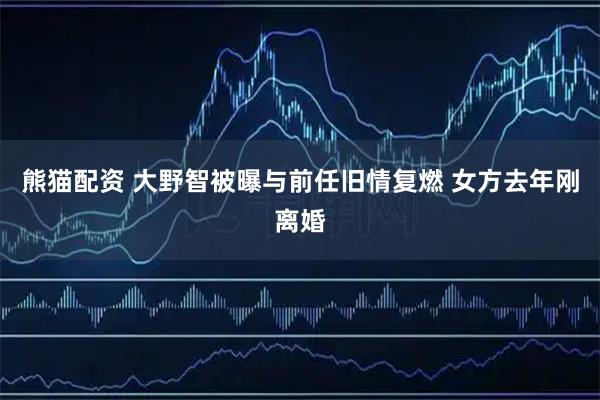 熊猫配资 大野智被曝与前任旧情复燃 女方去年刚离婚